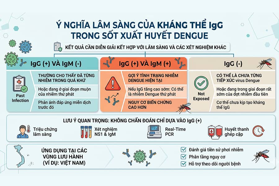 ý nghĩa lâm sàng Dengue Fever Antibody IGG