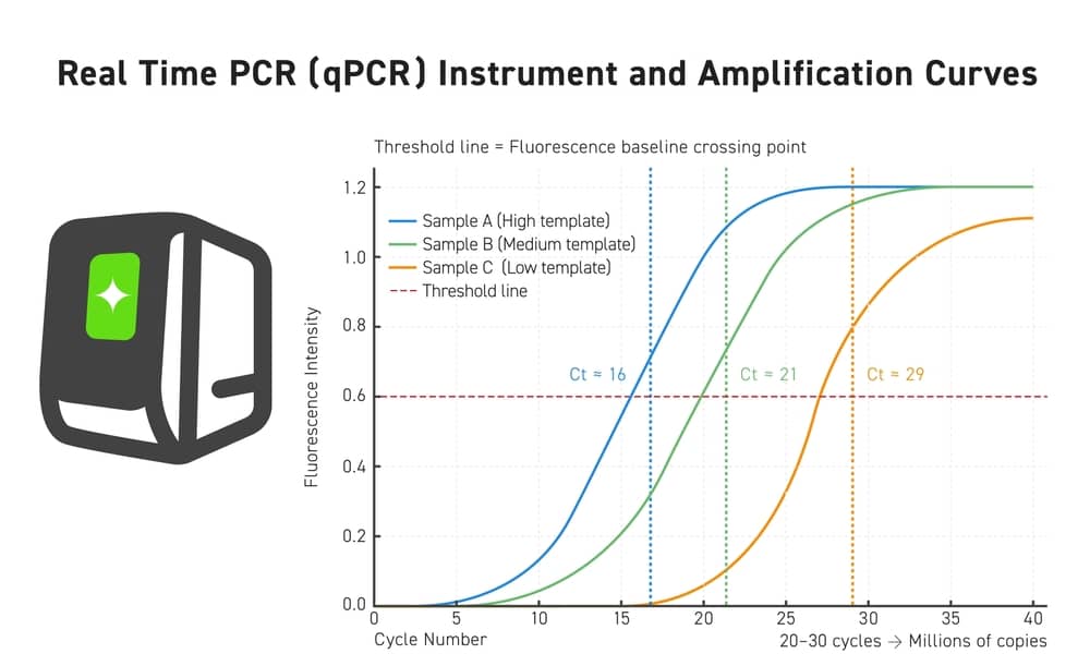 Chỉ số CT trên PCR
