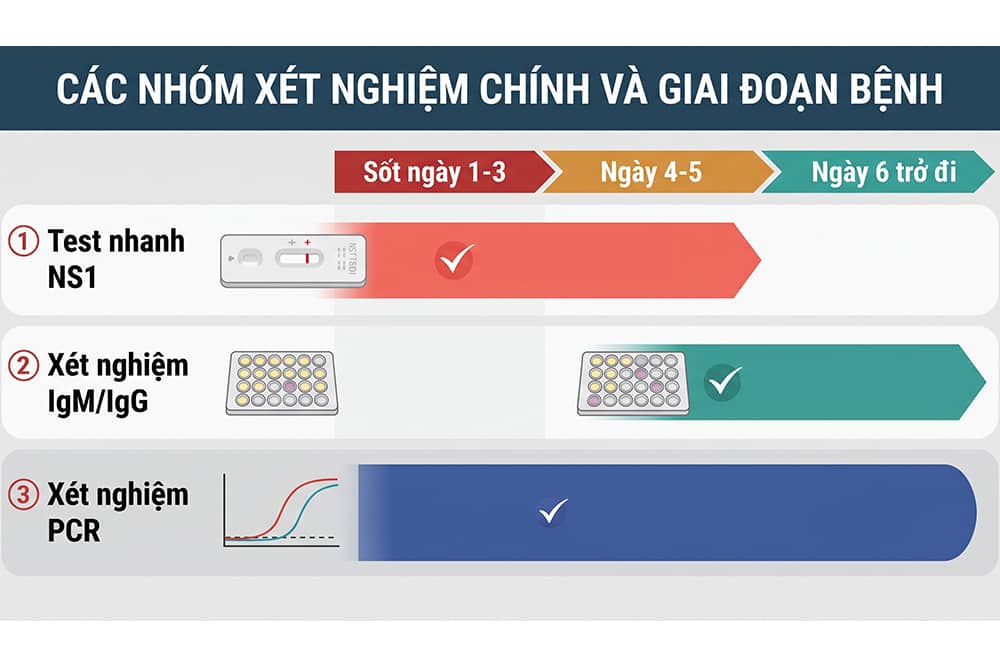 Infographic so sánh Test nhanh NS1, xét nghiệm kháng thể IgM/IgG và PCR theo các giai đoạn sốt xuất huyết từ ngày 1 đến ngày 6 trở đi.