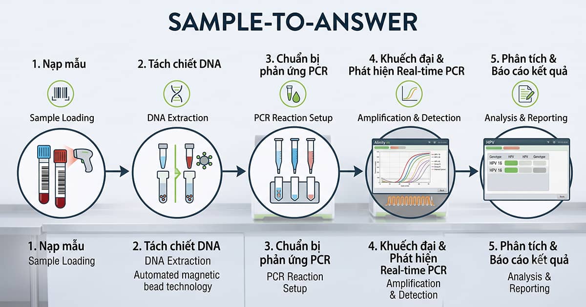 Các bước xét nghiệm ung thư cổ tử cung bằng kỹ thuật Real Time PCR