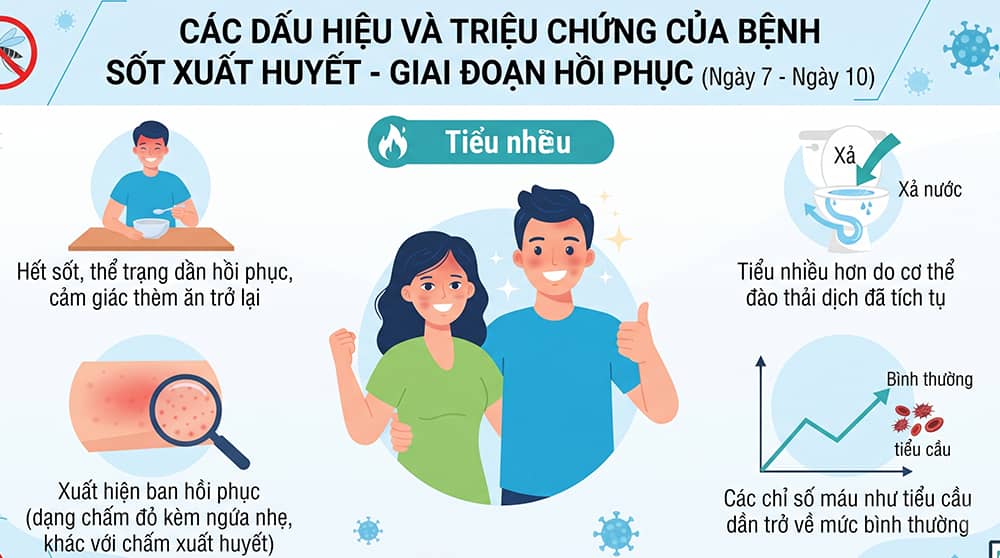 các dấu hiệu bệnh sốt xuất huyết giai đoạn phục hồi