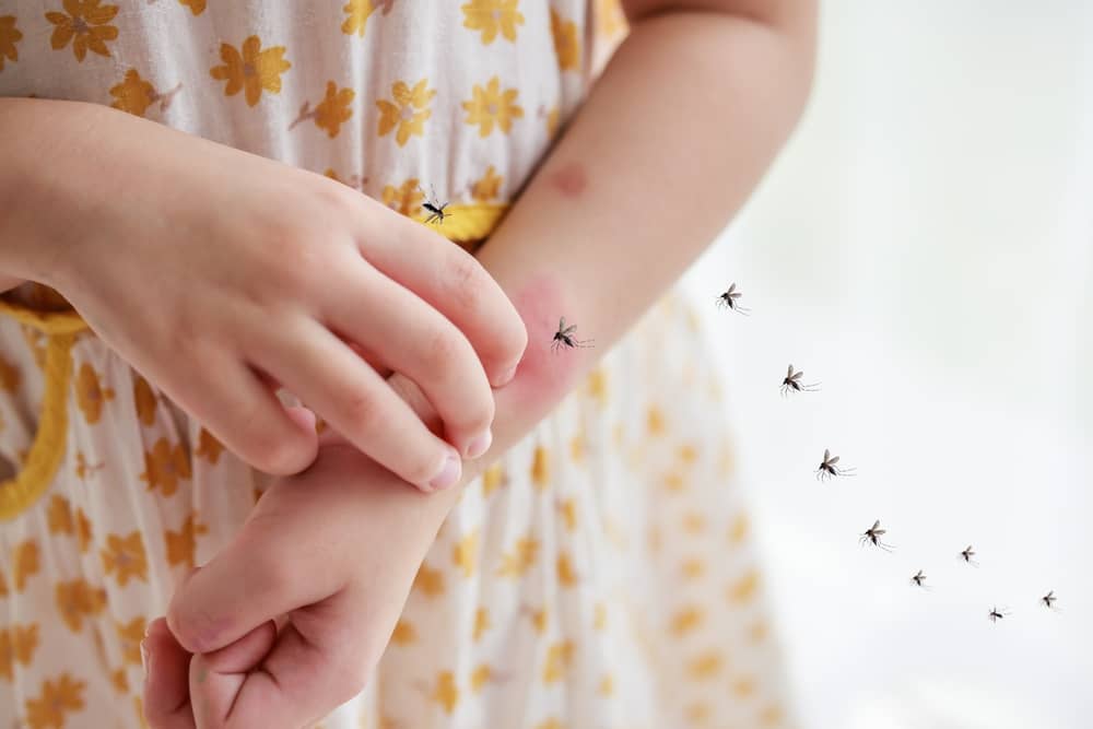 dấu hiệu bệnh sốt xuất huyết là gì