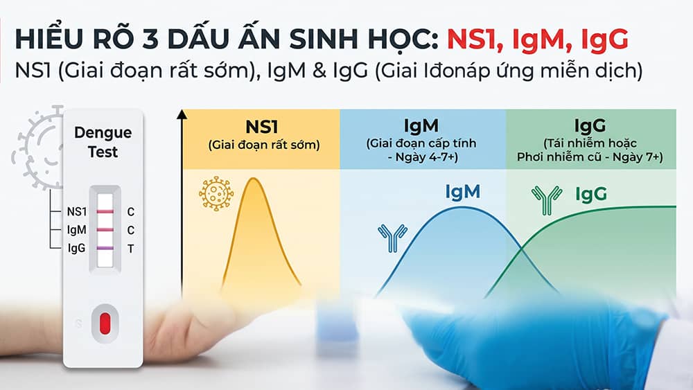 Hiểu rõ 3 dấu ấn sinh học của sốt xuất huyết