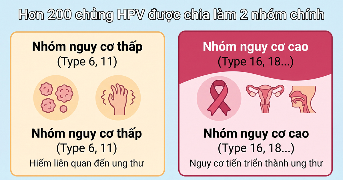 Hơn 200 chủng HPV được tìm thấy