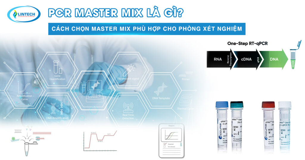PCR Master Mix