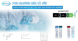 PCR Master Mix
