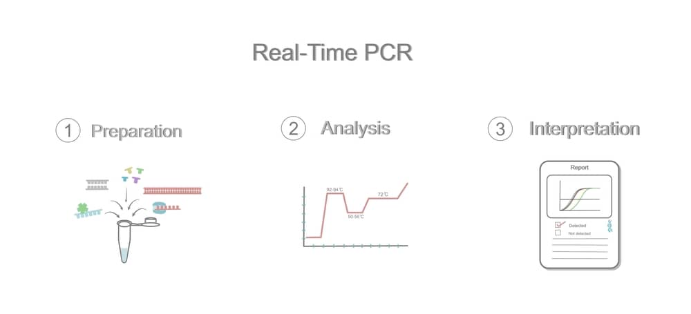 PCR Master Mix là gì