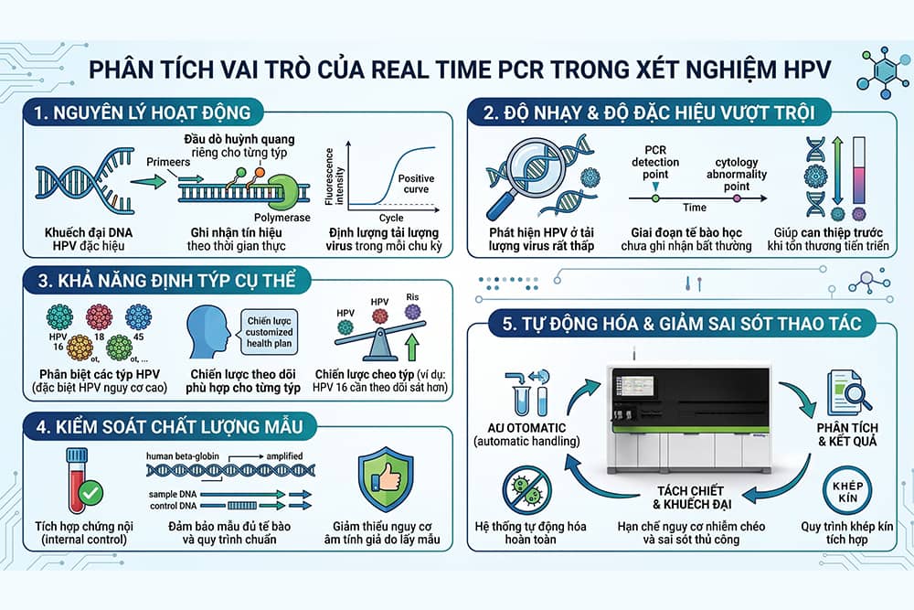 Phân tích vai trò của PCR xét nghiệm HPV