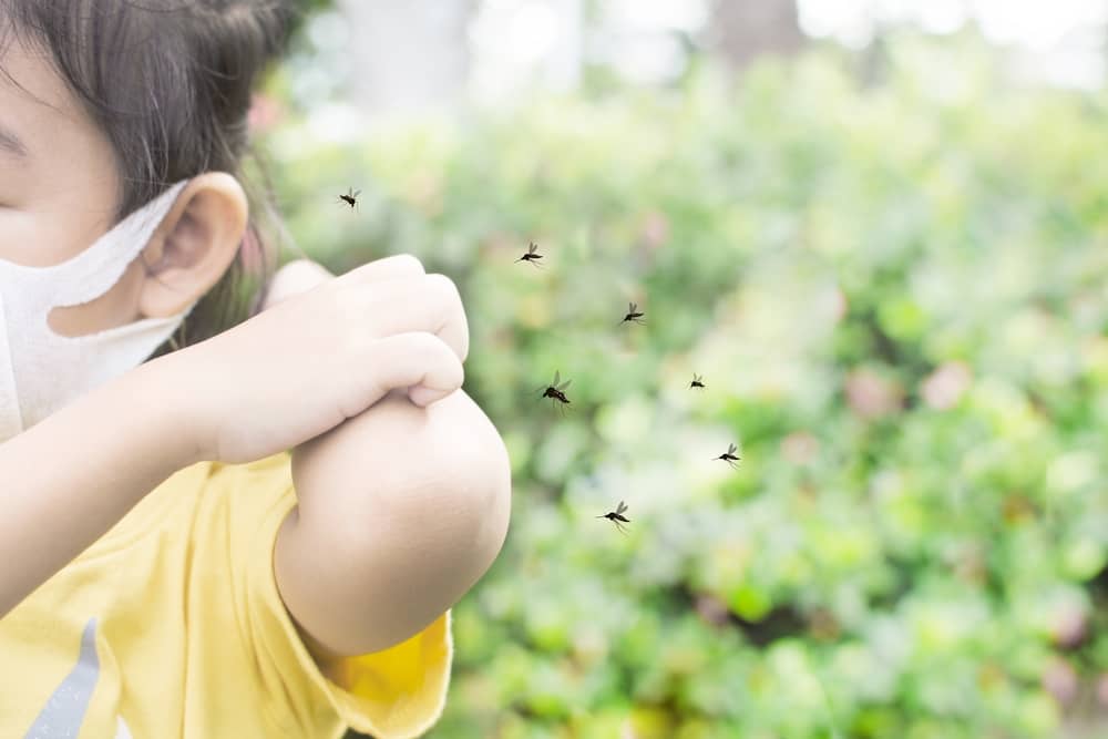 Sốt xuất huyết ở trẻ em mấy ngày thì khỏi bệnh
