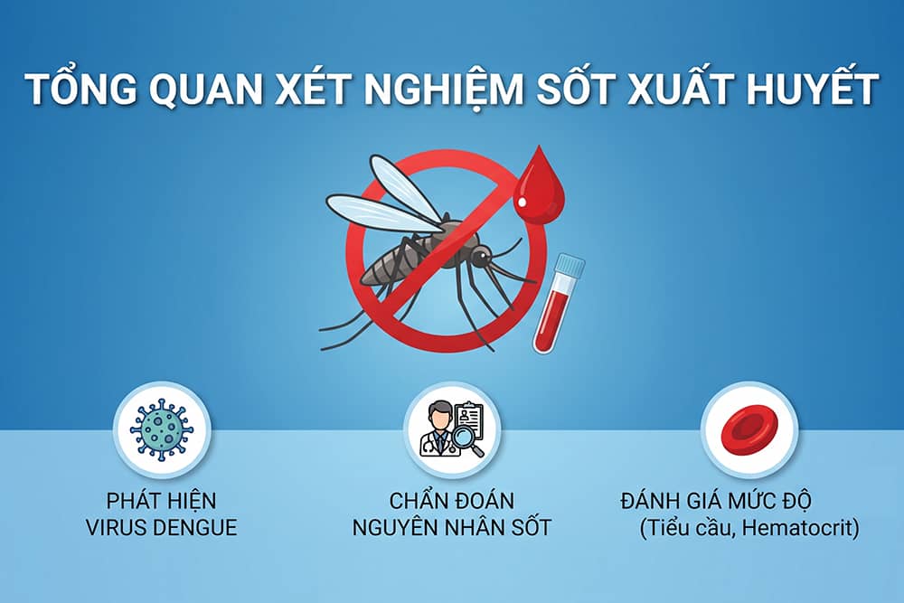 thông tin tổng quan về quy trình xét nghiệm sốt xuất huyết, bao gồm các phương pháp phát hiện virus Dengue và đánh giá mức độ nghiêm trọng của bệnh.