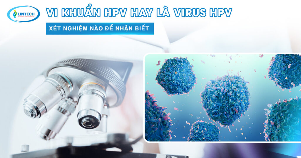 Vi khuẩn HPV