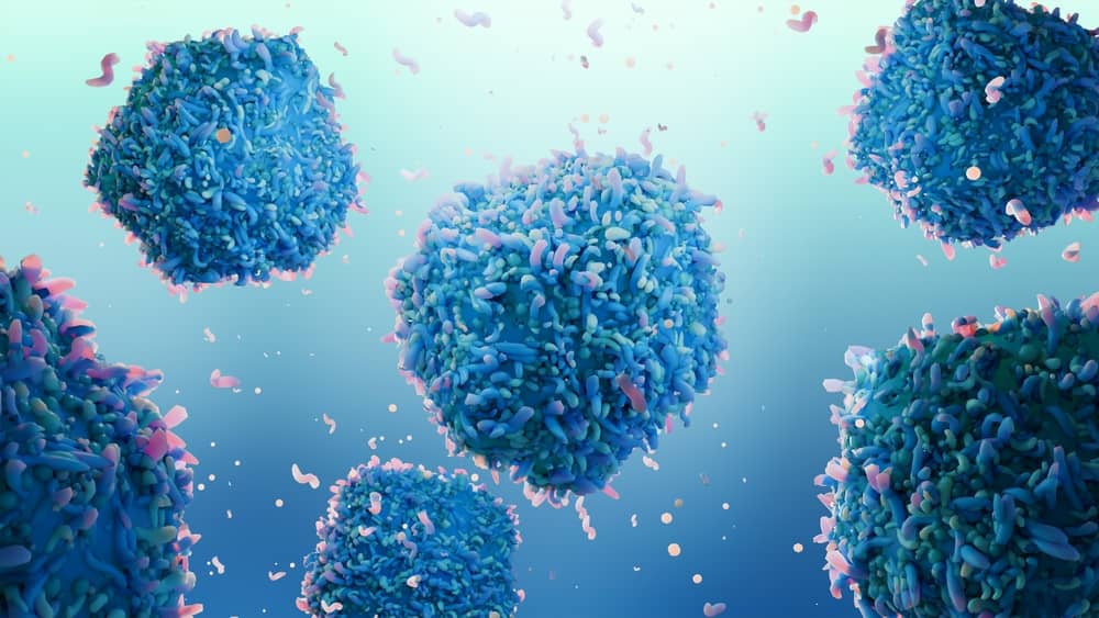 Vi khuẩn khác hoàn tonaf với virus HPV