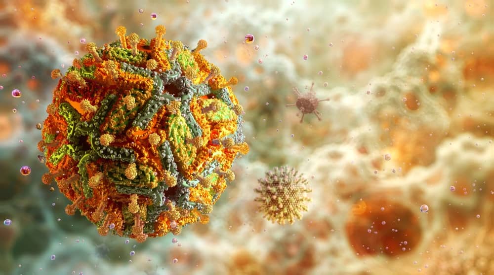 Virus sốt xuất huyết tác động như thế nào với cơ thể