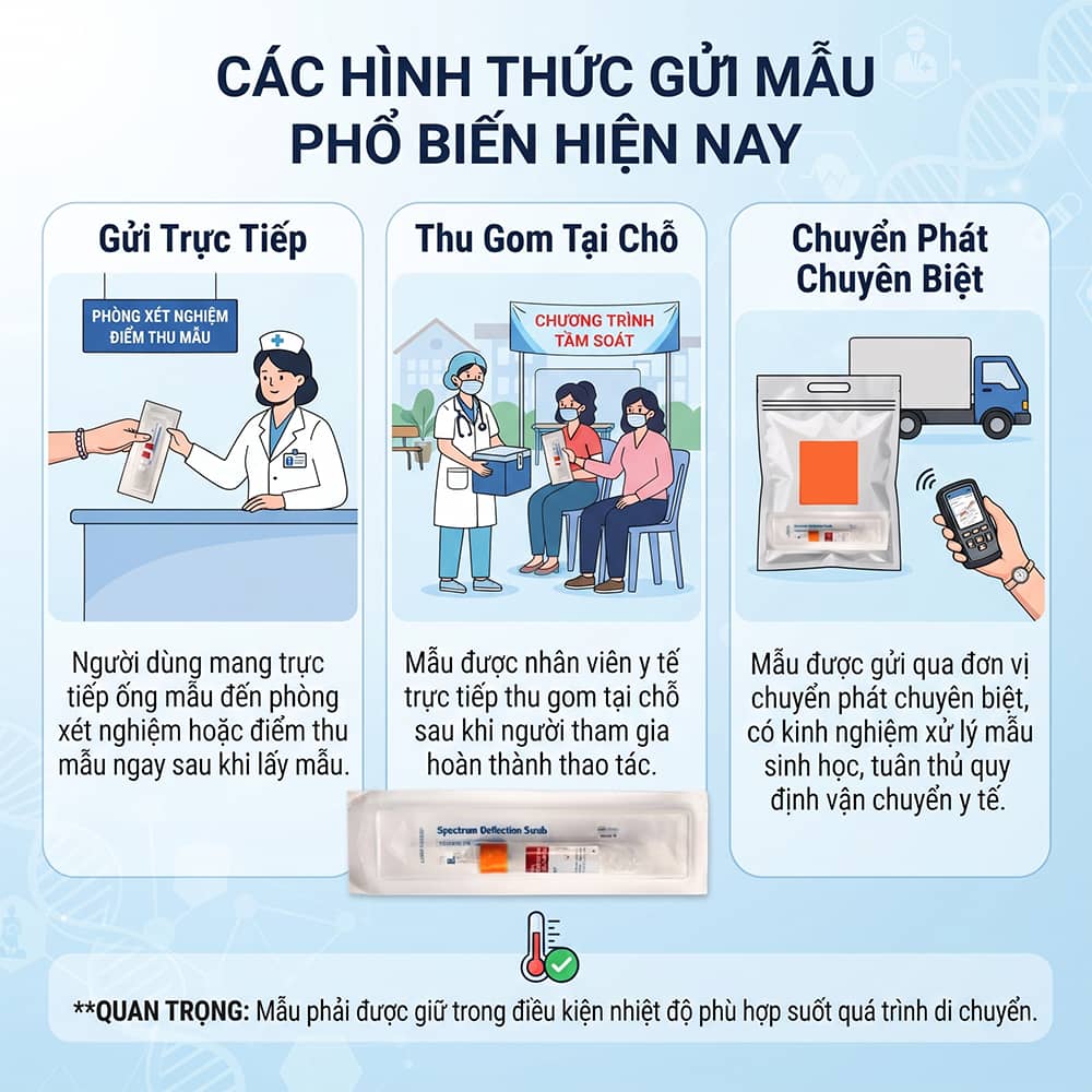 Các hình thức gửi mẫu tự lấy HPV phổ biến hiện nay
