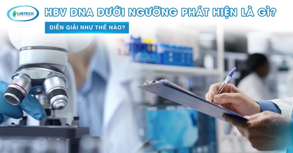 chỉ số hbv dna bao nhiêu là bình thường
