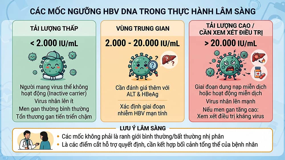 chỉ số hbv dna được sử dụng trong thực hành lâm sàn