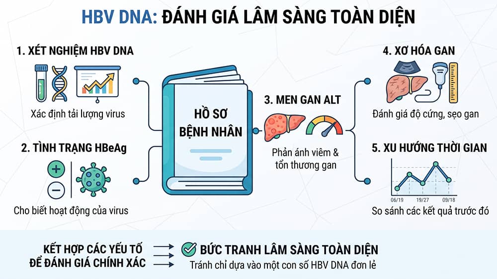 HBV DNA đánh giá lâm sàng toàn diện