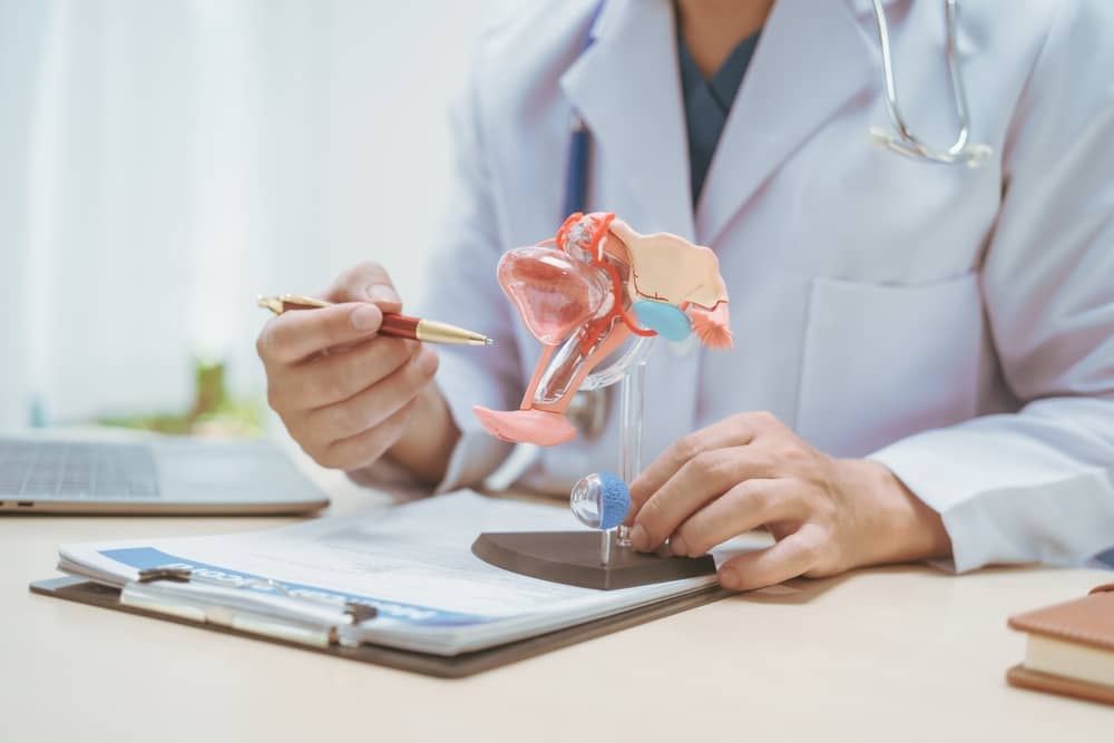 HPV là gì vì sao ai cũng nên quan tâm