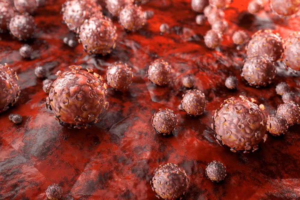 HPV là virus gì? đào thải ra sao?