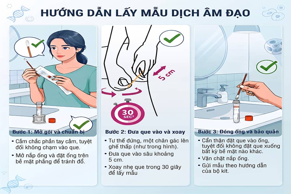 Hướng dẫn tự thu mẫu xét nghiệm HPV để sử dụng dễ dàng