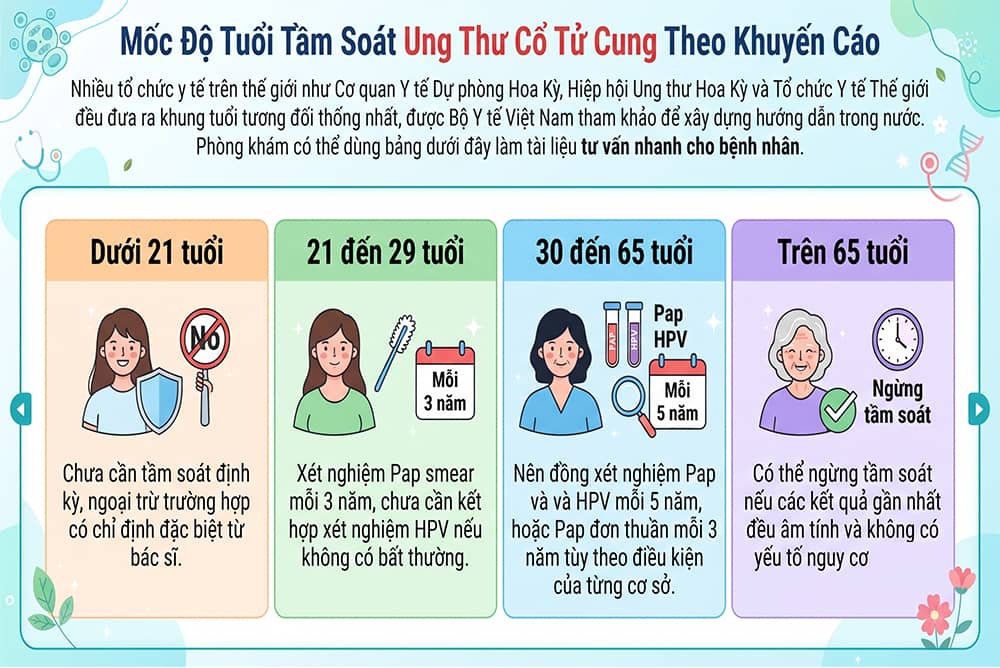 Minh họa độ tuổi tầm soát ung thư cổ tử cung