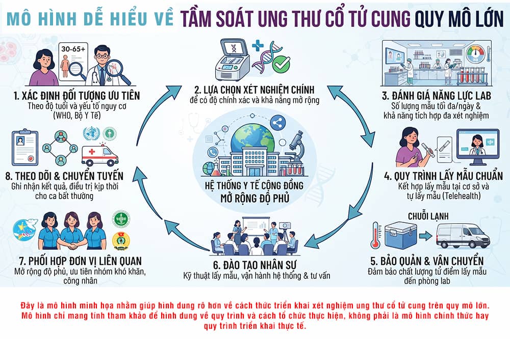 Mô hình dễ hiểu về xét nghiệm ung thư cổ tử cung