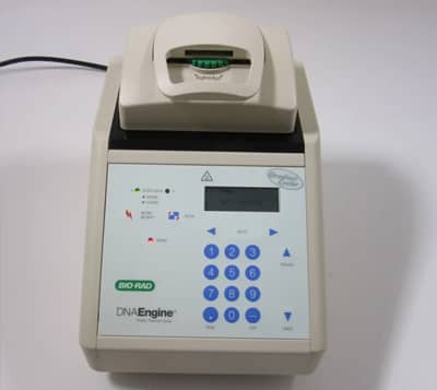 PCR Bio Rad DNA Engine