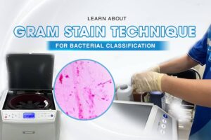 gram stain