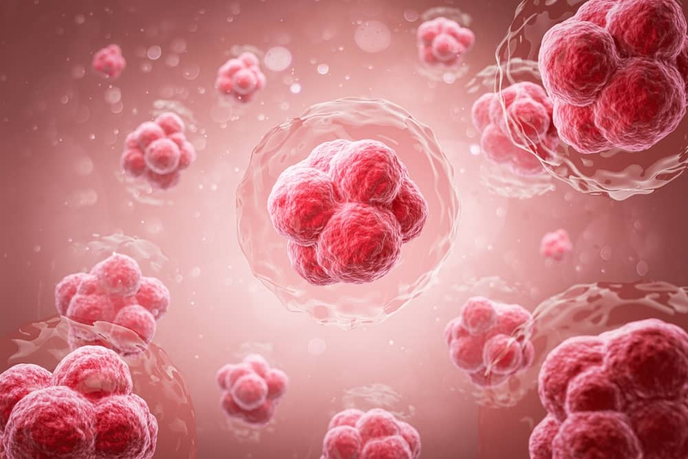 Khả năng đáp ứng miễn dịch với virus ung thư cổ tử cung