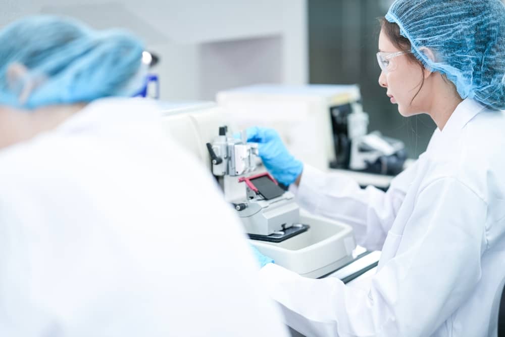 Kỹ thuật viên phòng lab chuẩn bị mẫu mô trước khi nhuộm safranin
