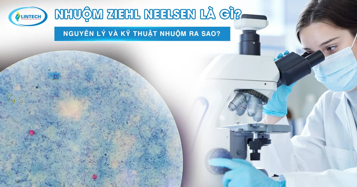 nhuộm Ziehl Neelsen
