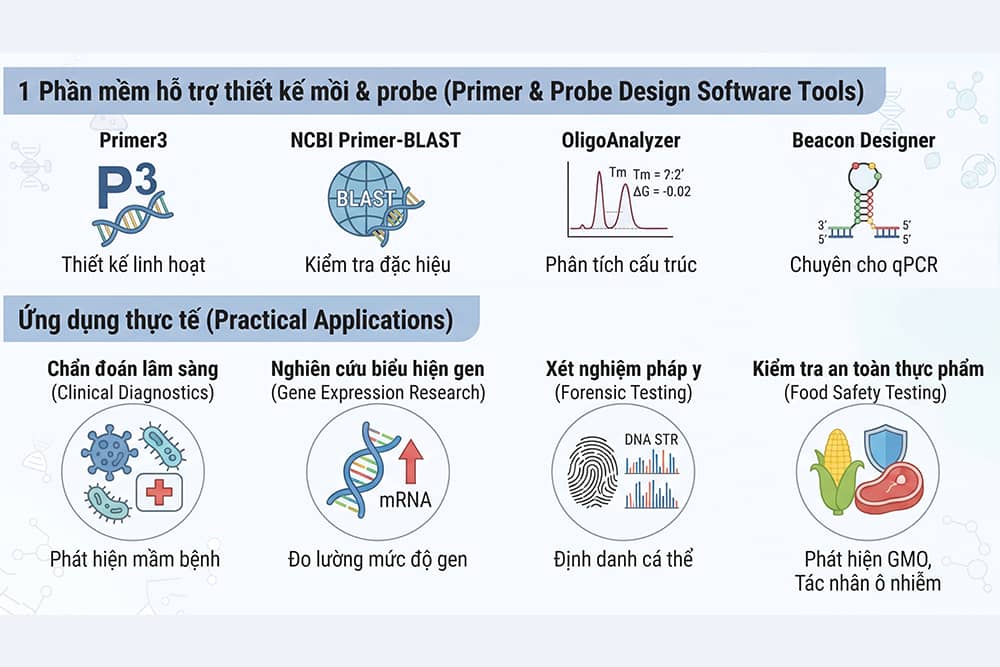 Các phần mềm thiết kế mồi và probe như Primer3, Primer-BLAST, OligoAnalyzer, Beacon Designer và ứng dụng thực tế của mồi PCR