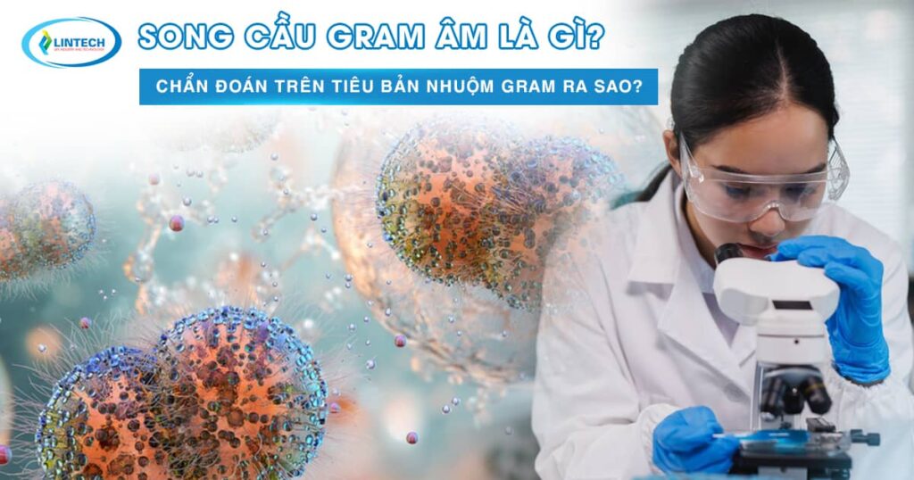 Song cầu gram âm