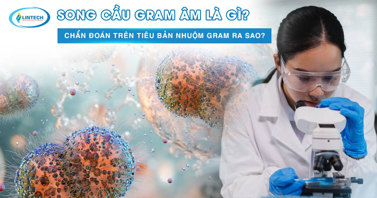 Song cầu gram âm