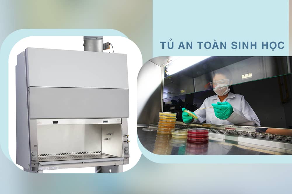 tủ an toàn sinh học là gì