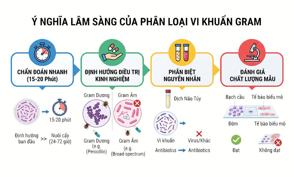 ý nghĩa lâm sàng vi khuẩn gram 