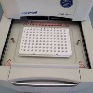 PCR Eppendorf Mastercycler ep Gradient calibration