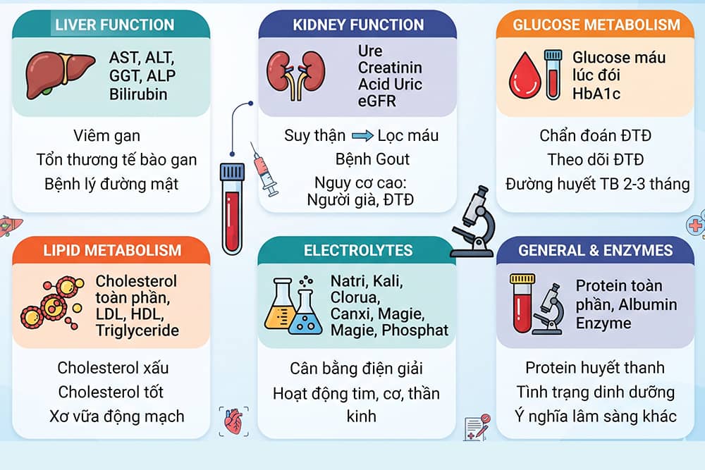 Các nhóm chỉ số chính trong xét nghiệm sinh hóa máu