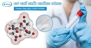 Chất chống đông