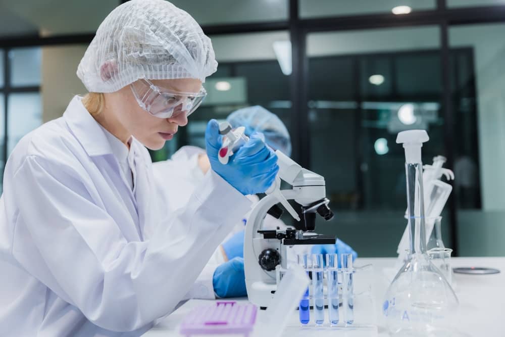 Microbiologist examining a bacterial culture plate in a clinical microbiology laboratory