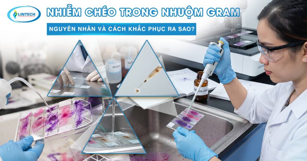 Nhiễm chéo